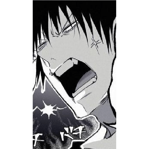 Toji fushiguro  13