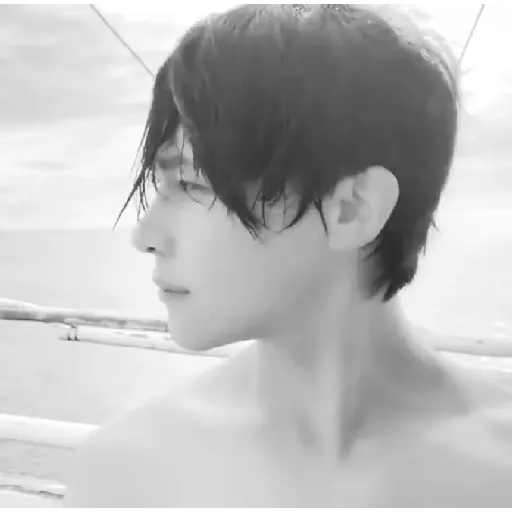 Nicholas    Wang      Saudade. 6