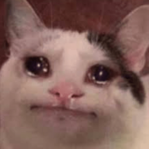 Gato meme 7