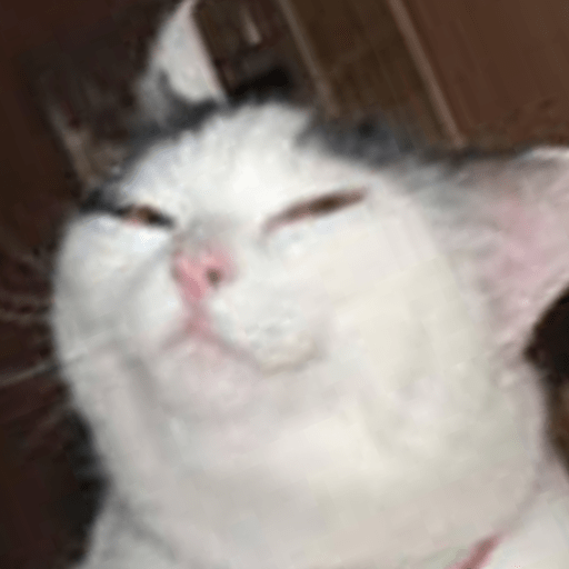 Gato meme 2