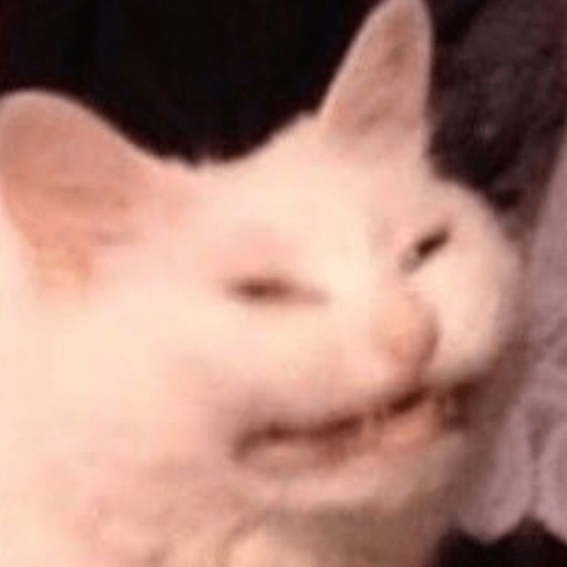 Gato meme