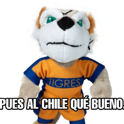 Tigres UANL🐯 Memes 15