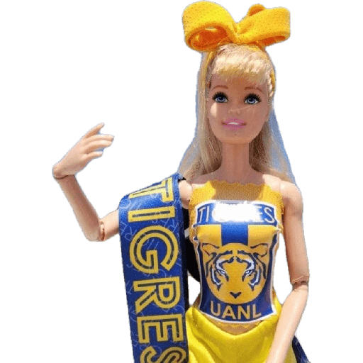 Tigres UANL🐯 Memes 13