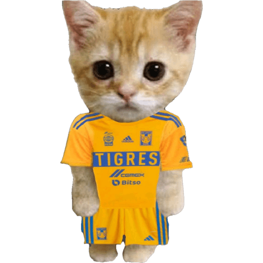 Tigres UANL🐯 Memes 11