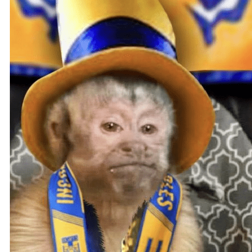 Tigres UANL🐯 Memes 5