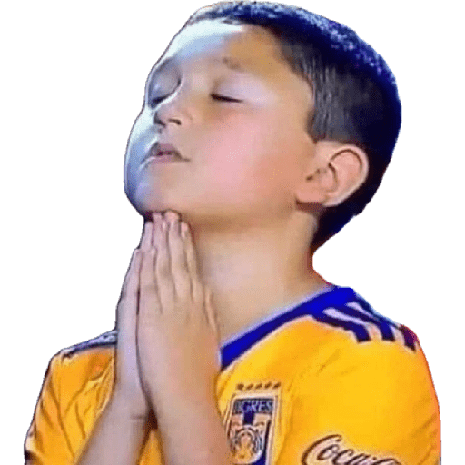 Tigres UANL🐯 Memes 4