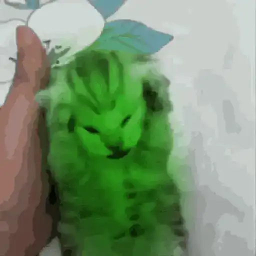 Gato 🐱 🐈‍⬛ Alien 👽 9