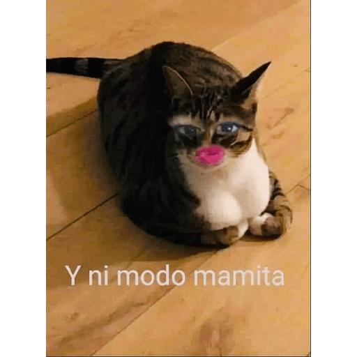 Chica que dice 16
