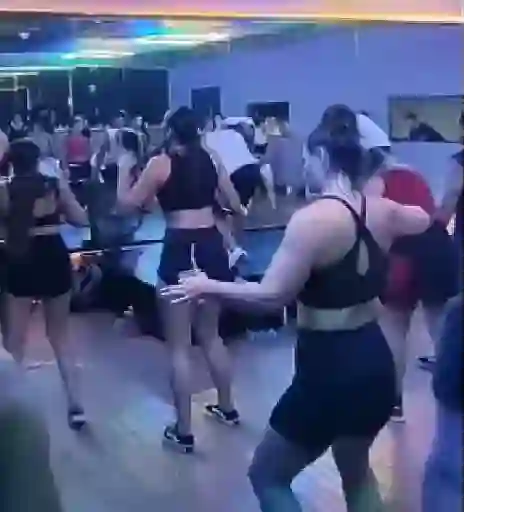 Fit 19