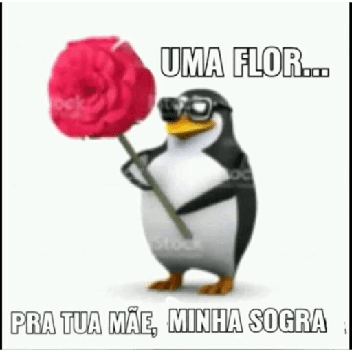 A ta meu 14