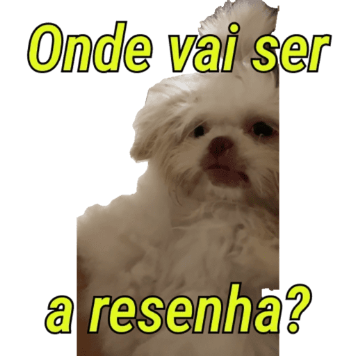 Minhas figurinhas 11