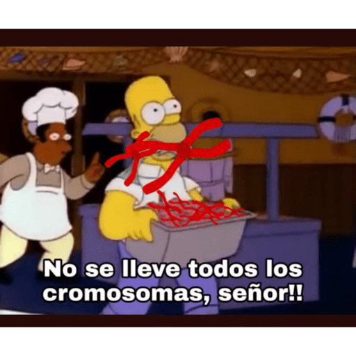 Simpsons 15