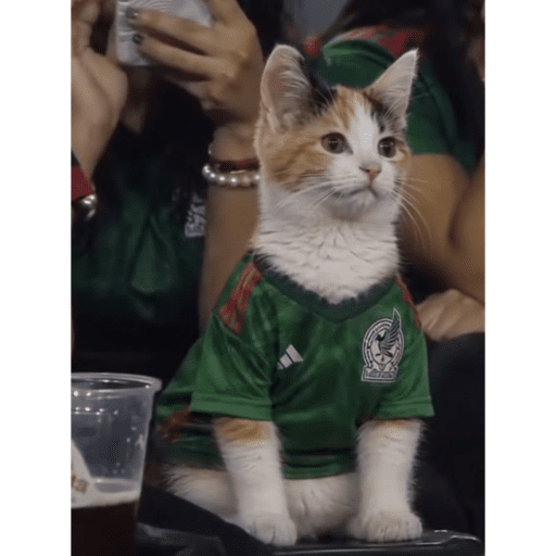 Mexico 10
