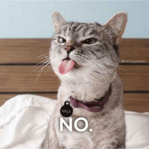 Gatitos con frases 27