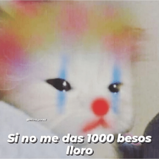 Gatitos con frases 10