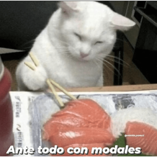Gatitos con frases 5