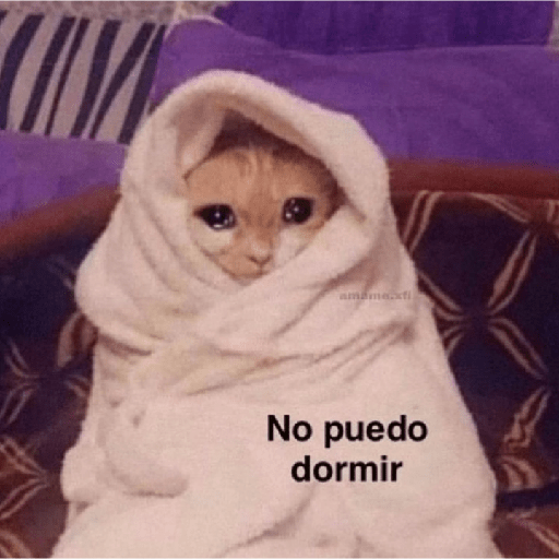 Gatitos con frases 30