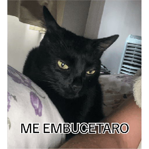 Eueueueu 4