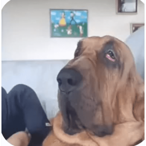 Sei la mano  2