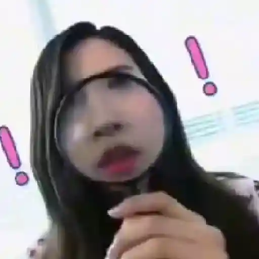 𝒮tickers  𝑅andoms  𝒜nimados