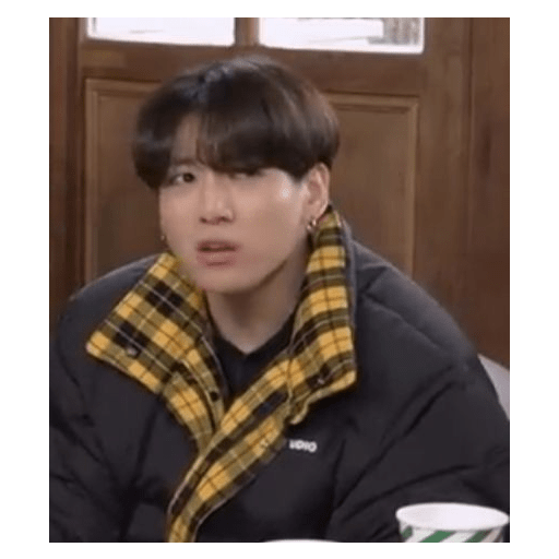 Jungkook (Jeon Jungkook) 6