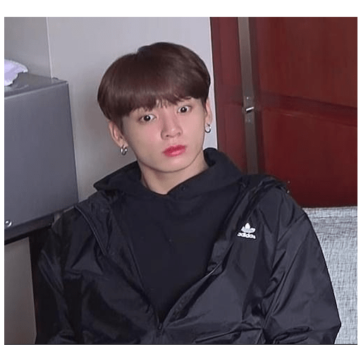 Jungkook (Jeon Jungkook) 9