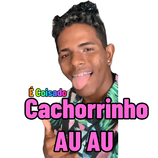 Minhas figurinhas 29