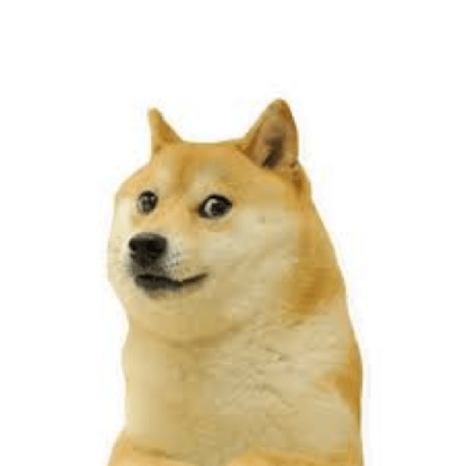 Fino 5