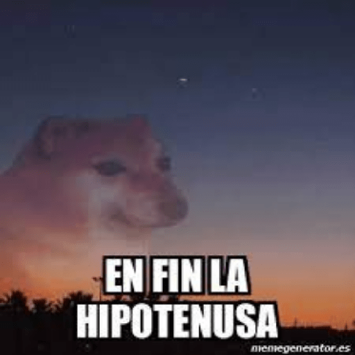 Fino 13