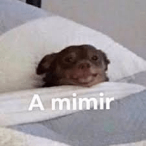 Fino 17