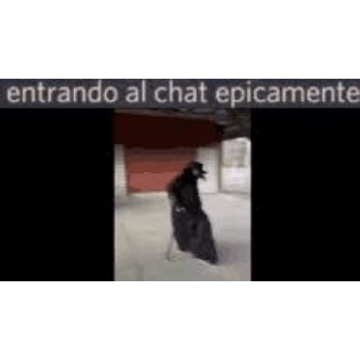 Fino 21