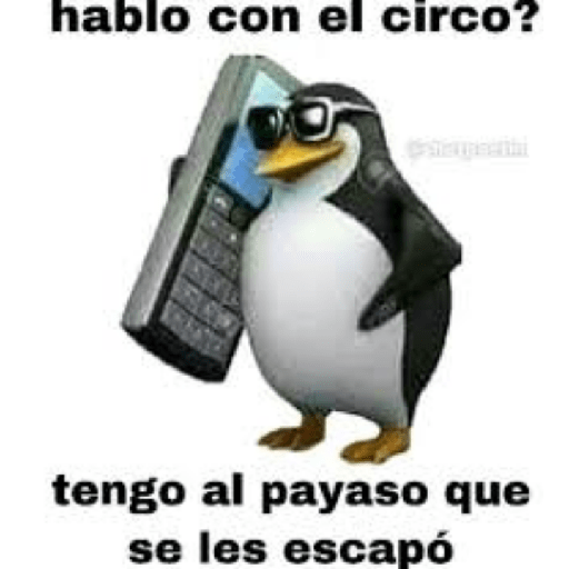 Fino 6