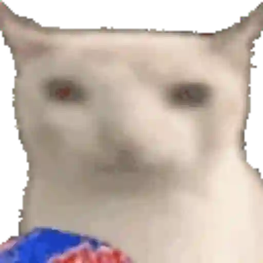 Gato banana 5