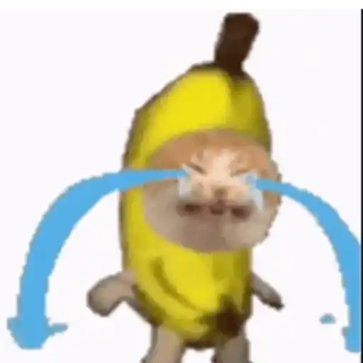 Gato banana 1