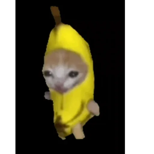 Gato banana 3