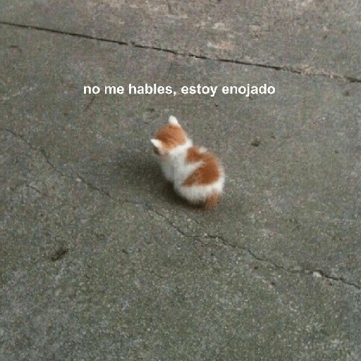 Miau 3 8