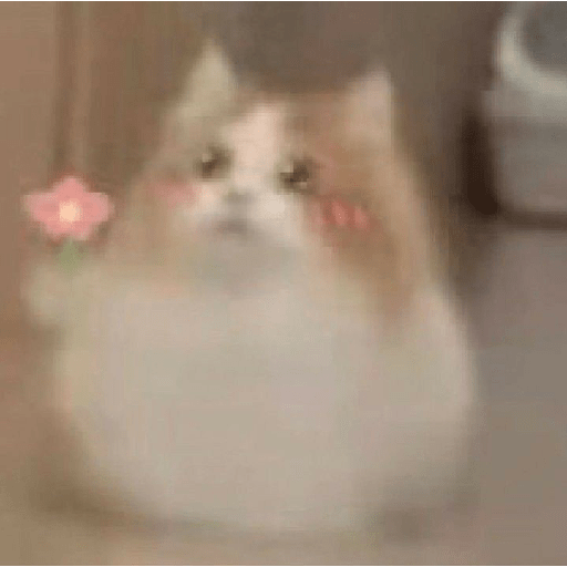 Miau 3 4