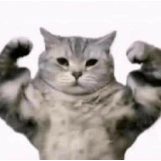 Miau 3 2