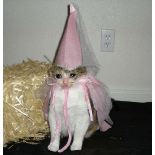 Miau 3
