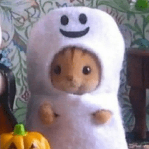 Miau 3 29