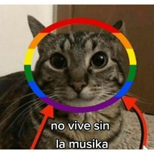 Miau 3 24