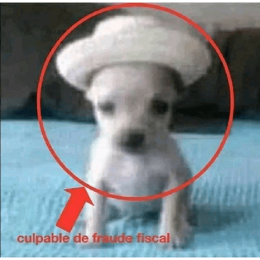 Miau 3 21