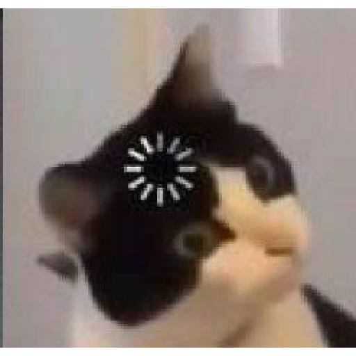 Miau 3 14
