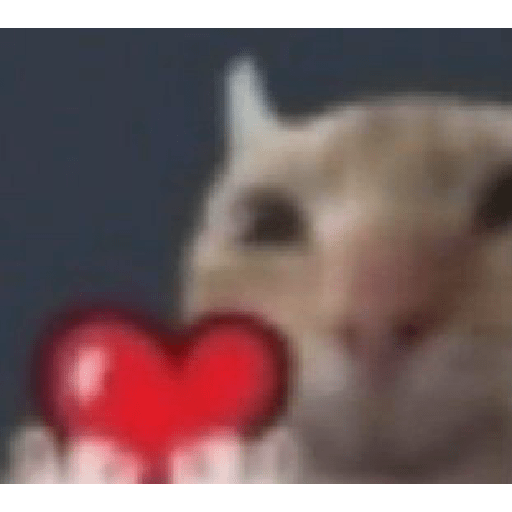 Miau 3 11