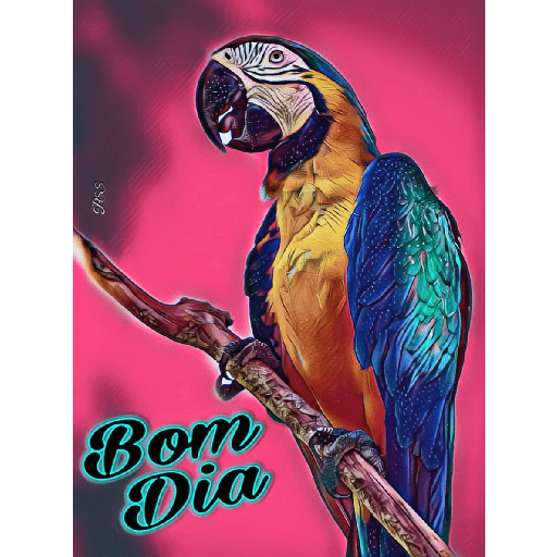 Zinha