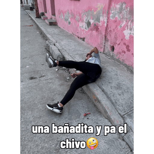 Piojo 4