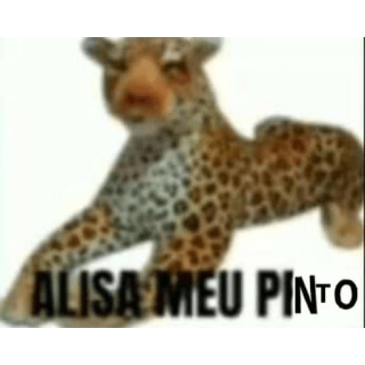Sdd do meu amor 29