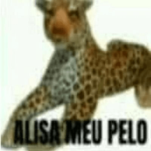 Sdd do meu amor 27