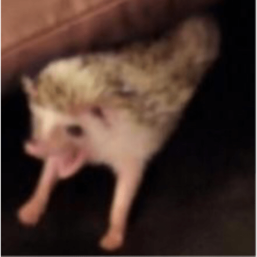 Aaa 1