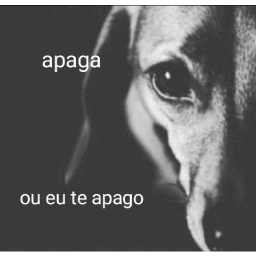 ↯CAF፝֟Eꦿ⃟☕ZI፝֟NHA🎀̸̷໋ 26